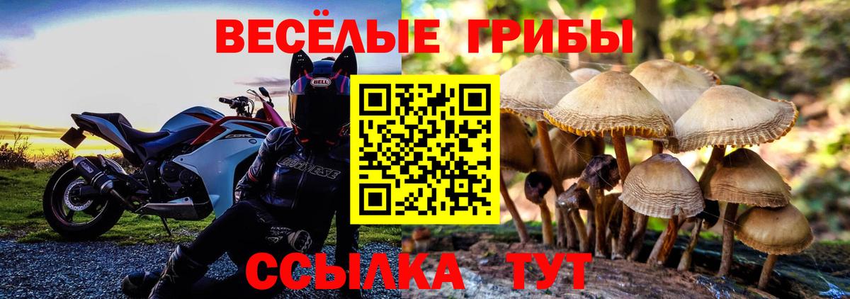 Псилоцибиновые грибы Psilocybe Качканар