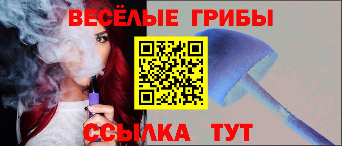 Галлюциногенные грибы прущие грибы  Псилоцибиновые грибы Cubensis  Вход с VPN  Качканар 
